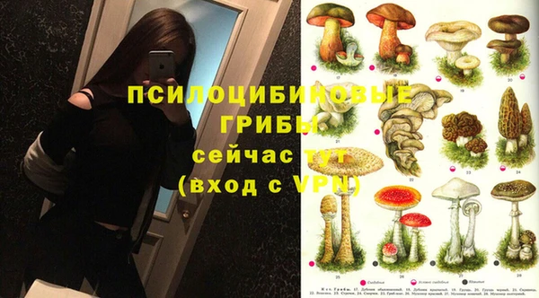 марки lsd Костерёво