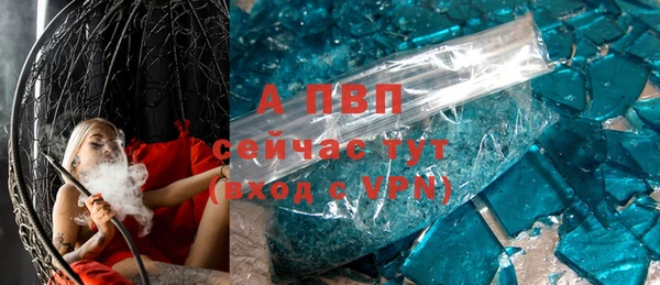 стафф Коряжма