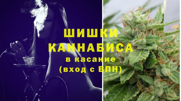 стафф Коряжма