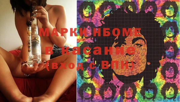 стафф Коряжма