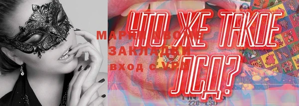 стафф Коряжма